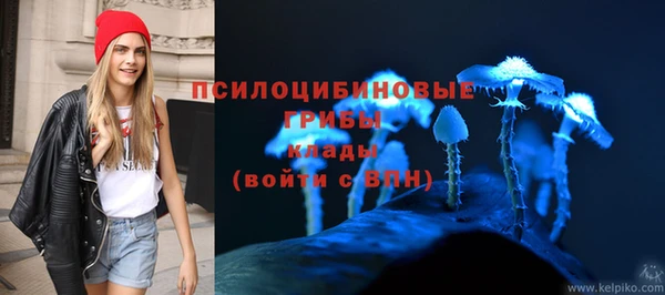 а пвп мука Алзамай