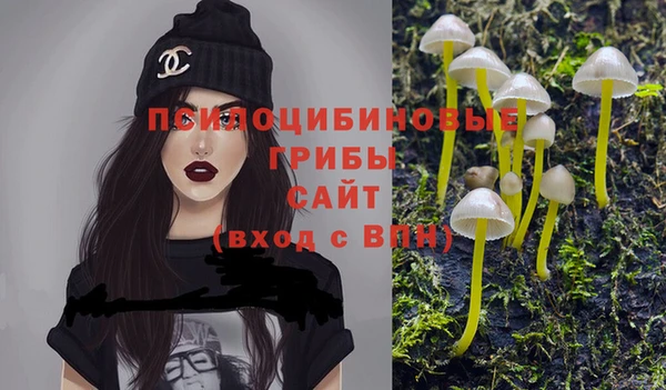 молекула духа Алексин