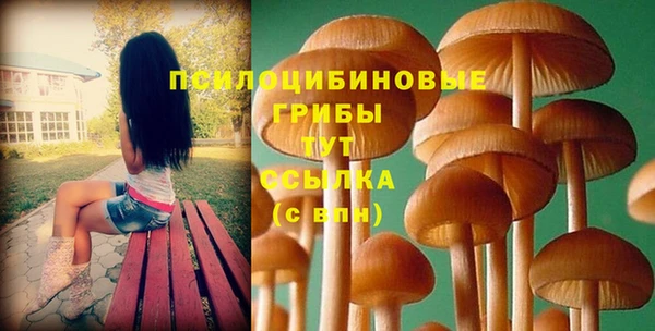молекула духа Алексин