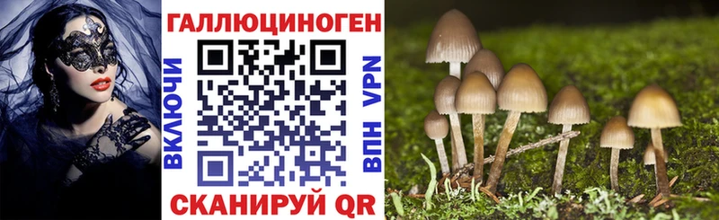 Псилоцибиновые грибы прущие грибы  Киселёвск 